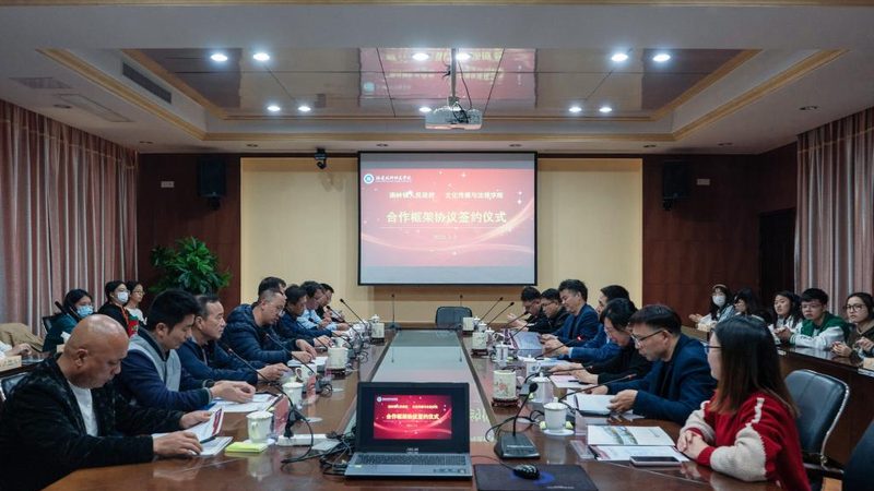 成都媒介投放流程代理：揭秘高效传播之道