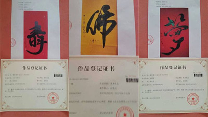 短视频拍摄稳定器品牌对比：如何挑选最适合你的拍摄伴侣